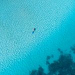 Coral Bay snorkeler